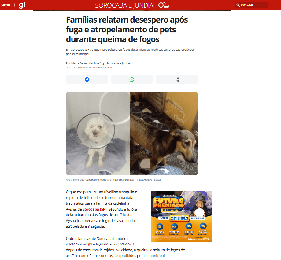 Manchete: Cadela foge assustada com rojões e é atropelada; donos pedem justiça.